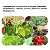 Полноспектральная led фитолампа T5 для выращивания растений CXhome