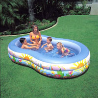 Семейный надувной бассейн Intex, 56490 Paradise Pool (262*160*46 см)