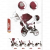 Трехколесный велосипед 6 в 1 Sun Baby Modi Little Tiger T500