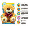 Интерактивный мишка MP 0712/0713/0714