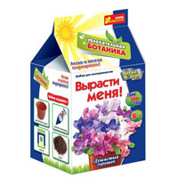 0368 Набір "Захоплююча ботаніка.Запашний горошок" 15135007(49.92)