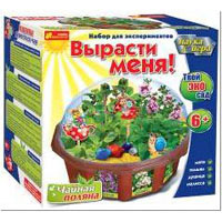 Вирости мене "Чайна поляна" 0395