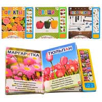 Книжка T 6194-99-200R (48шт) Букволандия,обуч,растен, рас.стихи,3вида,на бат-ке,в кульке,19-19-1,5см