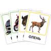 Обучающие Карточки Транспорт, Лесные жители Vladi toys VT1301-04 рус, укр