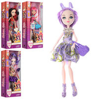 Кукла шарнирная DH2119 , 5 видов (аналог Ever after high)