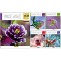 Набор тетрадей 5 шт А5/96 клетка Macro world-17 794748