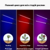 Полноспектральная led фитолампа для выращивания растений Grenebo