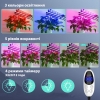 Полноспектральная led фитолампа для выращивания растений Grenebo