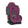 Детское автокресло Lorelli (Bertoni) F2+SPS 9-25 кг