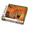 Пазл Trefl puzzle на 1000 элементов в ассортименте